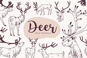 Deer sketch set, an Animal Illustration by Good Studio (Thumbnail 1 of 5)