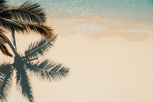 Sunlit beach sand with the shadow of a palm tree enhancing the coastal atmosphe, a Nature Photo by AlyaAnd