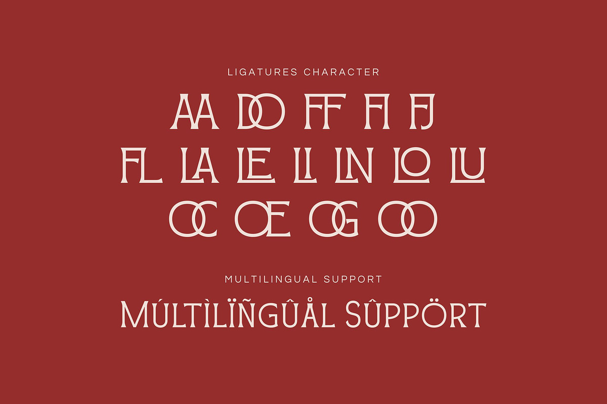 Blossom Noir -Aesthetic Display Font, a Serif Font by Fype Co. (Photo 4 of 5)