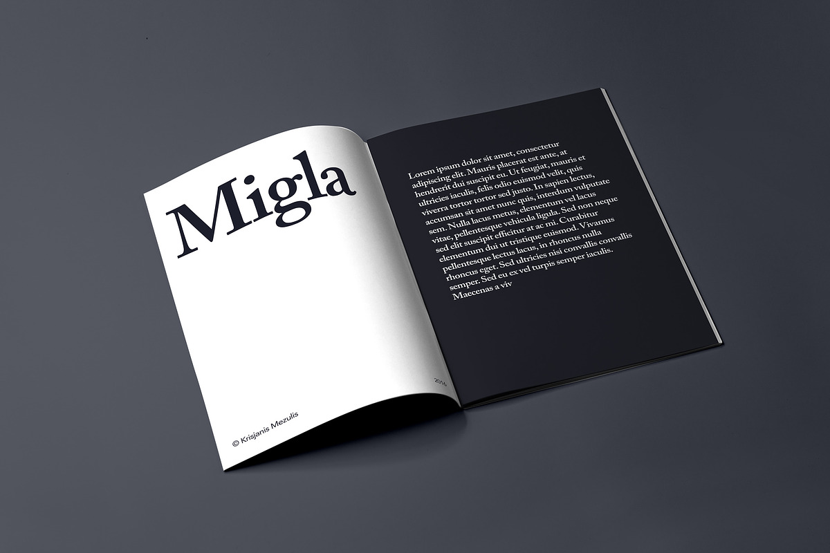 Migla Print Magazine Mockup, a Print Template by Wild Ones (Photo 12 of 12)