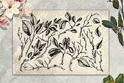 Magnolia flowers. Engraving style., a Decorative Illustration by Alena Kaz (Thumbnail 4 of 12)