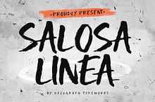Salosa Linea – Bold Brush Display