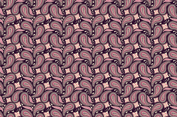 Paisley Persuasion preview 4