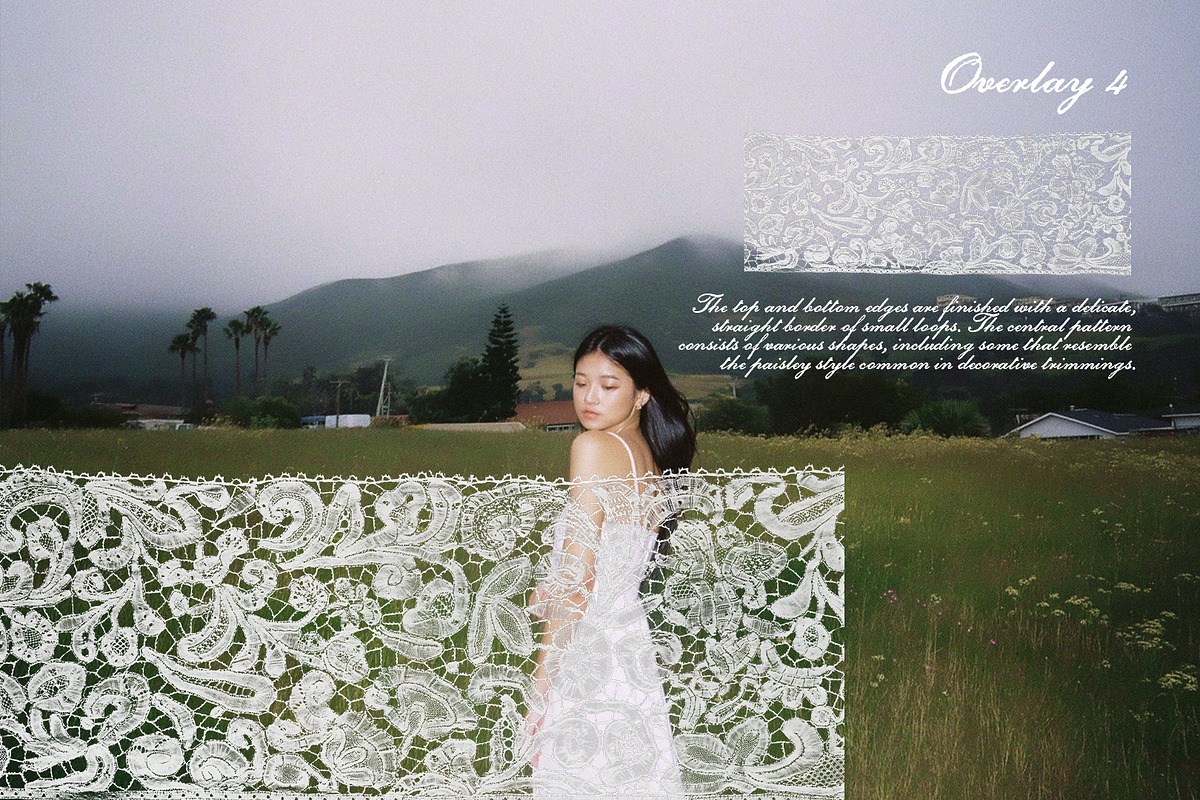 Vintage Lace Pieces Overlays, a Texture Graphic by Kaleriia (Photo 5 of 18)