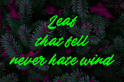 Babylonia, a Script Font by Gatype (Thumbnail 9 of 10)