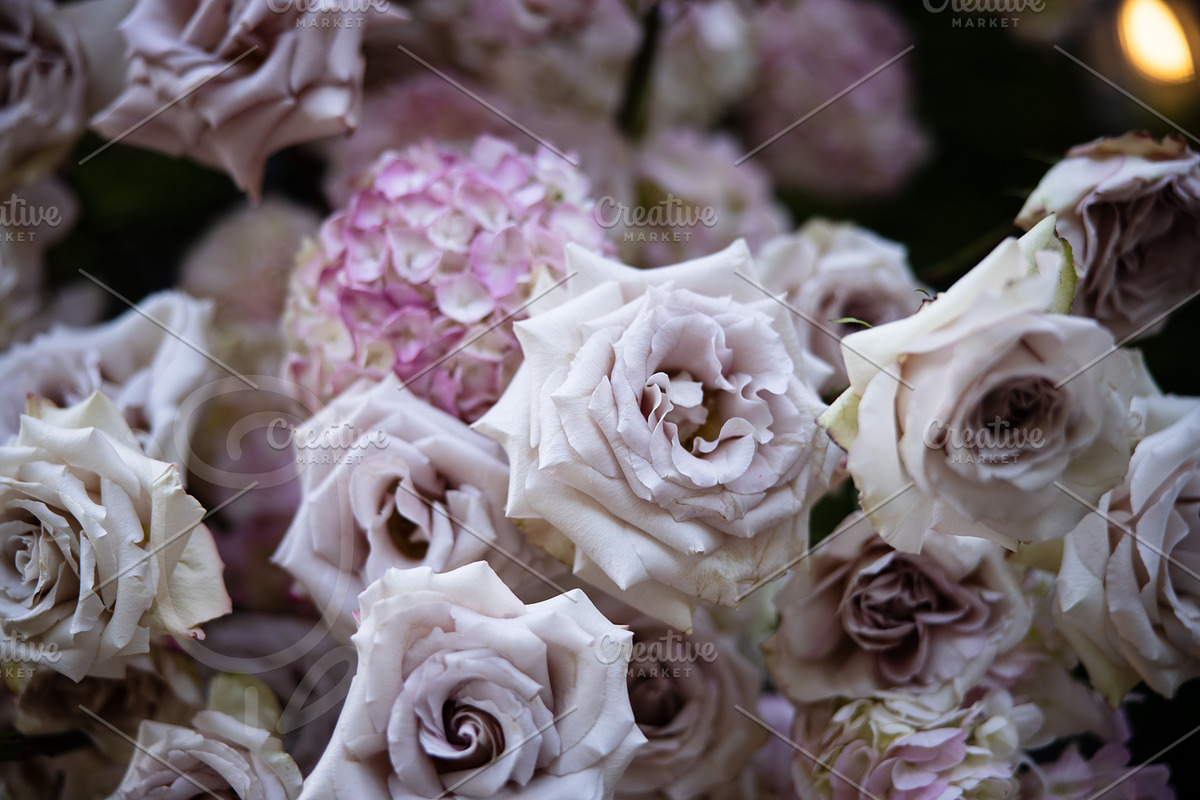 A Garden of Roses | Wedding, Events, a Nature Photo by Farewell (Photo 23 of 41)