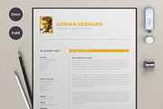 X pro Resume, a Resume Template by sz81 (Thumbnail 4 of 6)