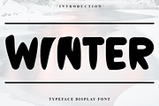 Winter, a Script Font by FreshTypeINK (Thumbnail 1 of 6)