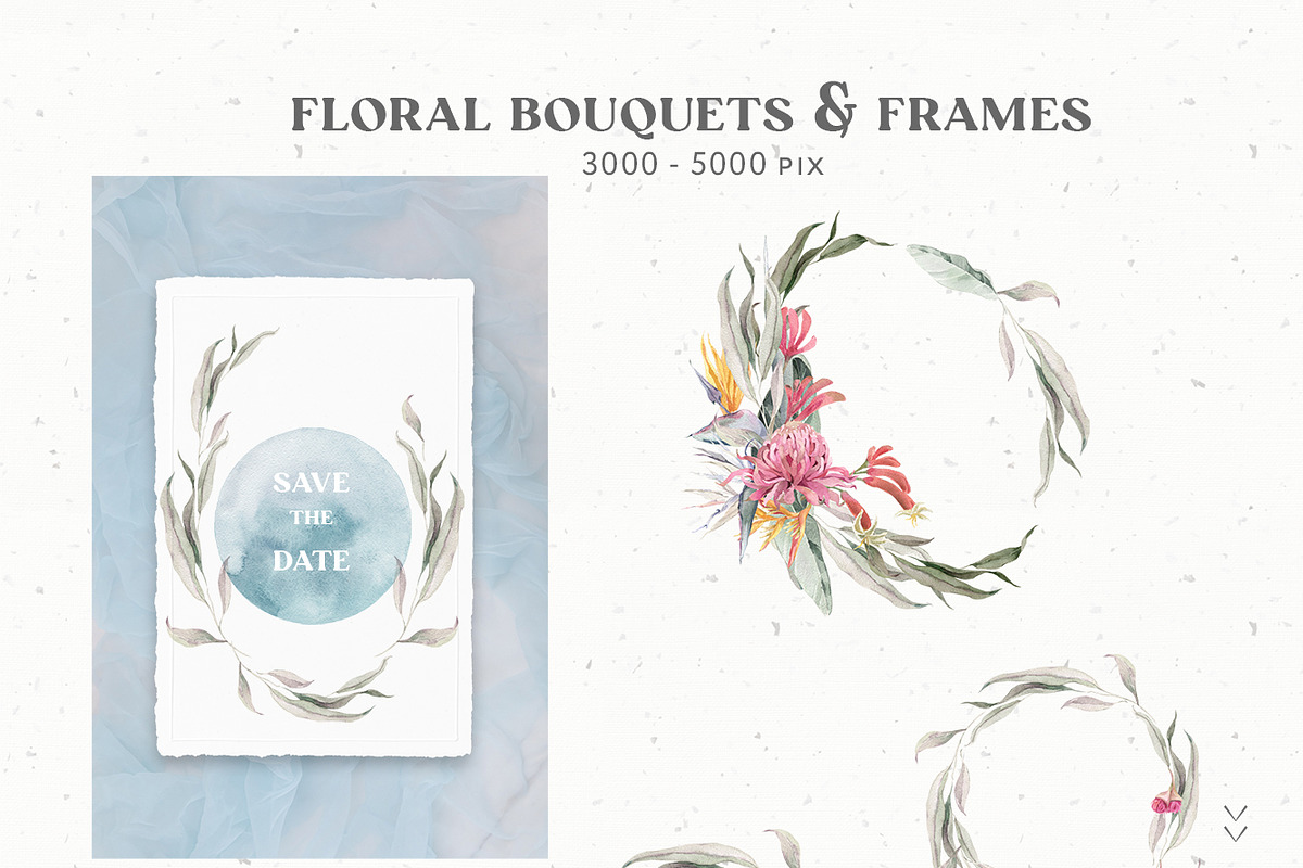 Australia Animals & Flora Watercolor, an Animal Illustration by Cat In Colour (Photo 6 of 13)