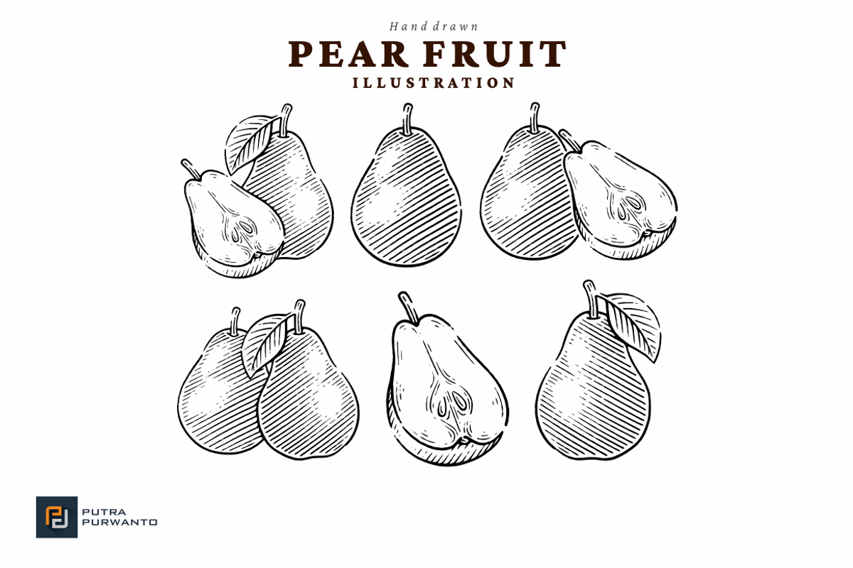Vintage Hand Drawn Pear Illustration, a Food Illustration by putra_purwanto (Photo 3 of 3)
