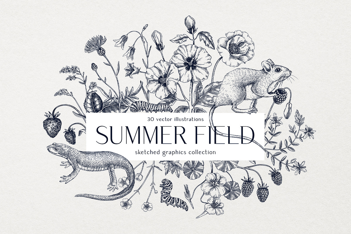 Vector Animals & Summer Flowers Set, a Seasonal Illustration by Yevheniia (Photo 1 of 14)