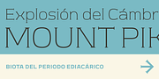 Meguro Serif, a Serif Font by GT&CANARY (Thumbnail 7 of 12)
