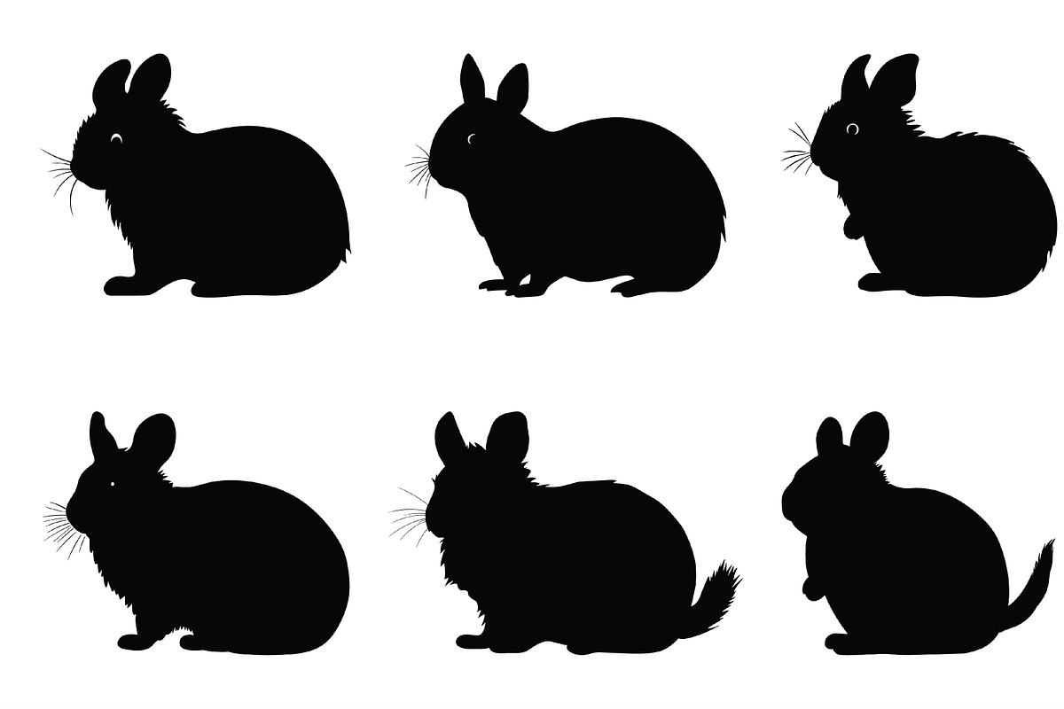 Chinchilla Animal Silhouette SVG Set, an Animal Illustration by Gfx Expert Team (Photo 3 of 3)