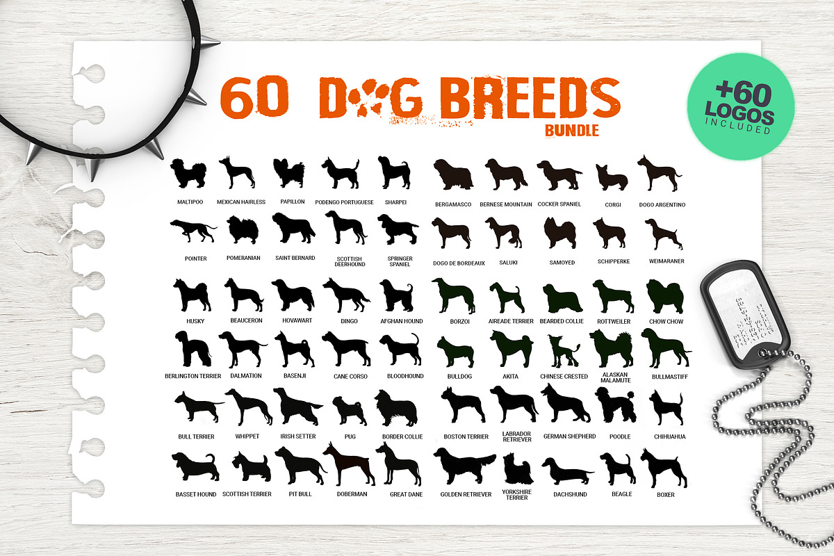 60 Dog Breeds Illustration Bundle, a Texture Illustration by SmartDesigns (Photo 1 of 8)