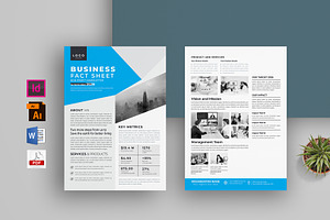 Nonprofit Organization Fact Sheet, a Flyer Template by obayes
