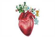 Blooming anatomy heart hight print, a Graphic by Mehendra Art (Thumbnail 3 of 3)