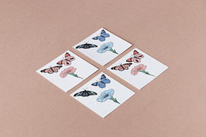 Butterflies And Petunia Flowers Set