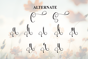 Spring | Script Font, a Handwritten Font by Scratchones (Thumbnail 8 of 9)