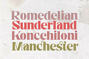 Nelona Serif, a Serif Font by Megatype (Thumbnail 8 of 11)