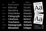DTF Benhill - Serif Family, a Font by Dora Typefoundry (Thumbnail 9 of 11)