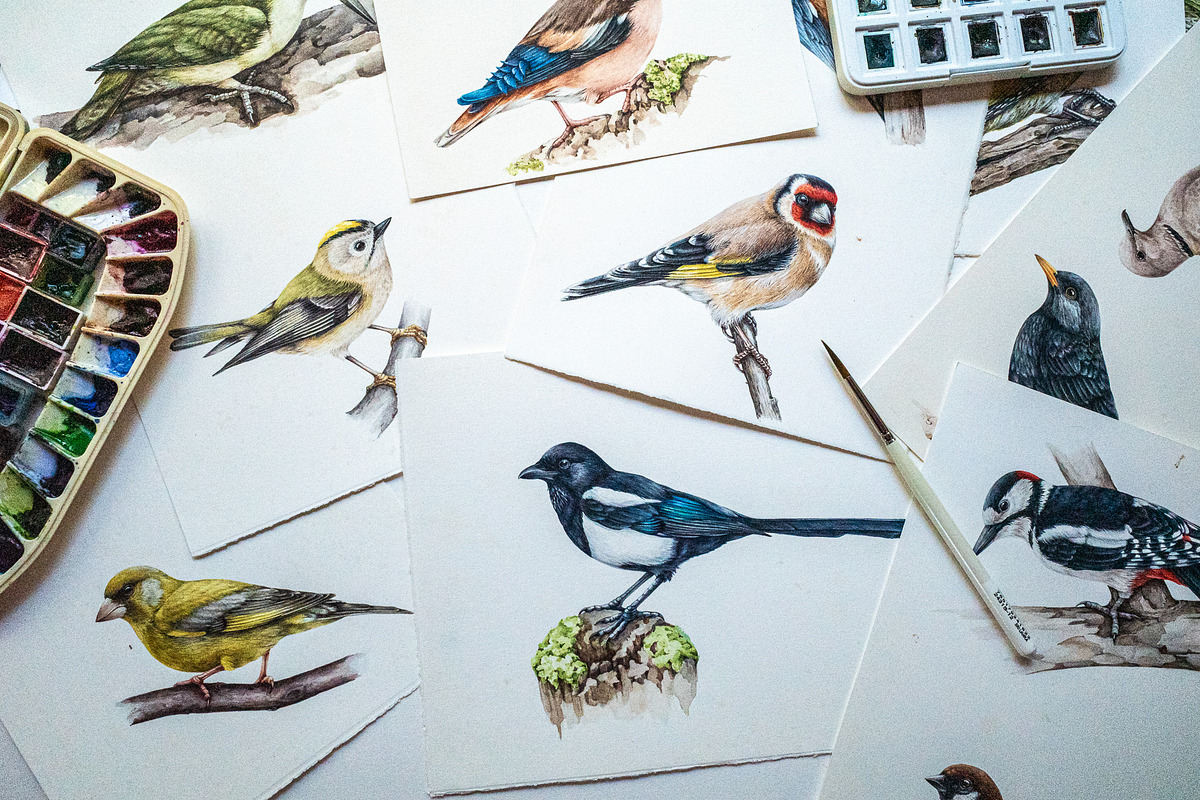 Forest Birds Watercolor Set, an Animal Illustration by AnitaPol (Photo 3 of 26)