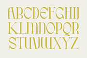 Amstoven, a Serif Font by DYSA Studio (Thumbnail 9 of 13)