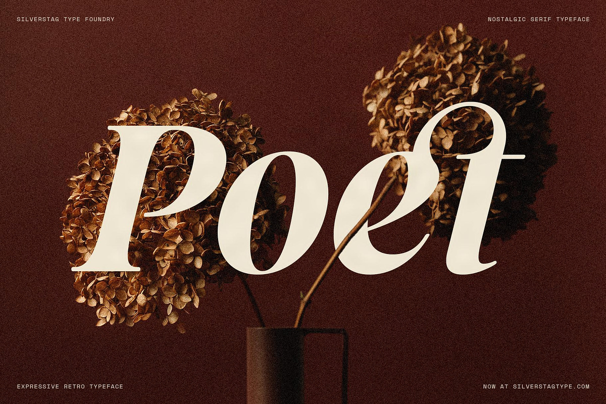 La Mystere - Editorial Serif Font, a Serif Font by SilverStag Type Foundry (Photo 5 of 30)