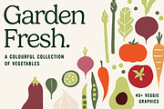 Rustic Vegetable Illustrations, a Food Illustration by Gross Illustrations (Thumbnail 1 of 7)