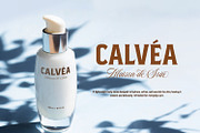 Calvelin, a Serif Font by din-studio.com (Thumbnail 10 of 10)