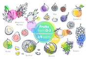 Fruits - hand drawn vector set, a Food Illustration by Margo Miller (Thumbnail 9 of 25)