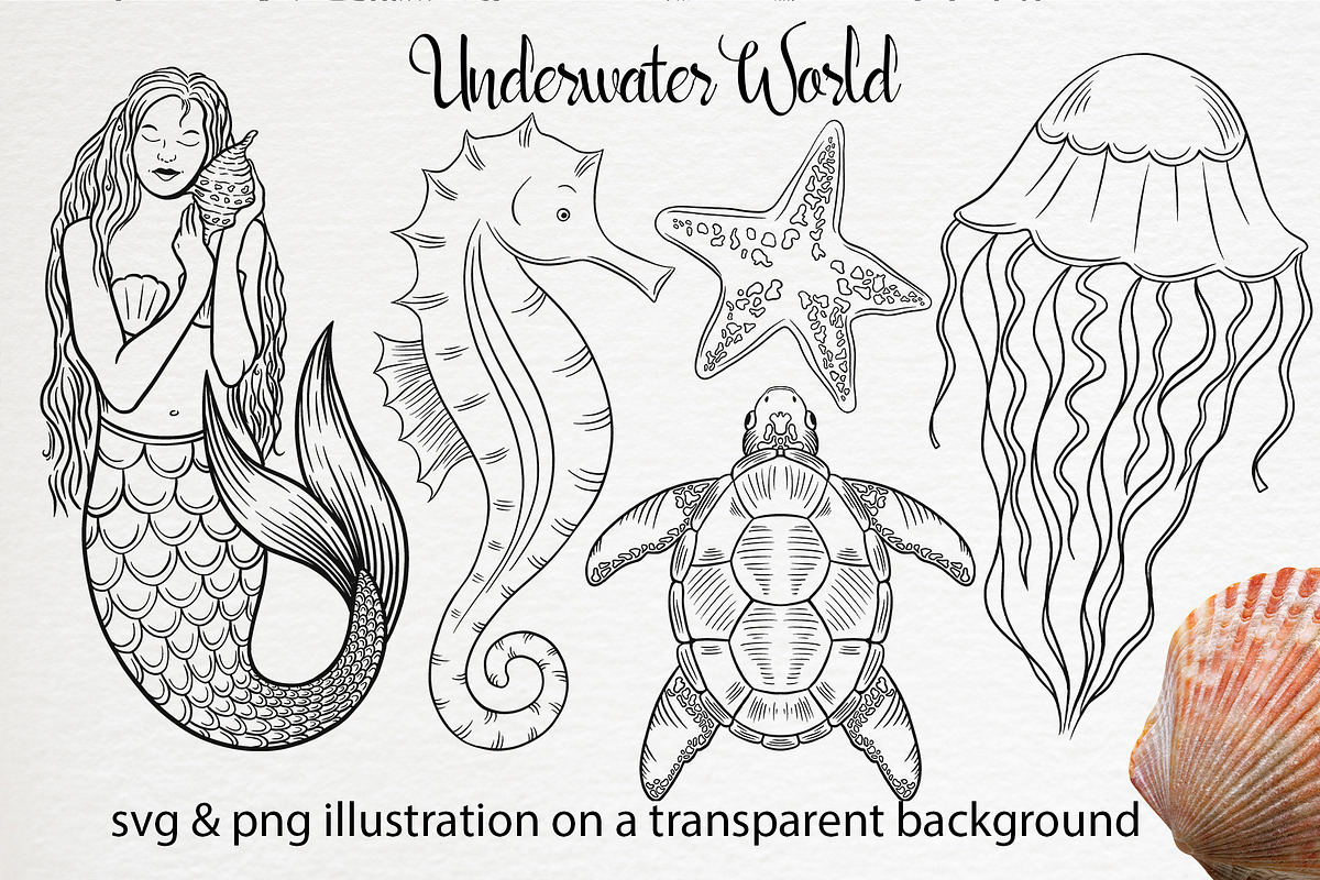 Underwater life set clipart, an Illustration by Gennadi Digital Studio (Photo 2 of 6)