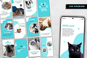 Pet Shop & Pet Care Social Media Kit, a Social Media Template by Gomes Web (Thumbnail 3 of 5)
