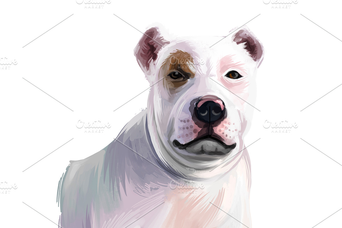 Mastiffs and Pugs 34 PSD Dogs Set, an Animal Illustration by Dneprstock (Photo 11 of 15)