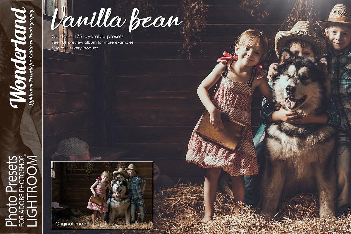Presets for Lightroom / Wonderland, an Action Add-On by Miracle_Design (Photo 15 of 23)
