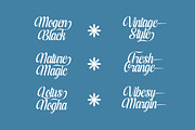 Kameli Antares Modern Calligraphy, a Script Font by timelesstype.co (Thumbnail 15 of 20)
