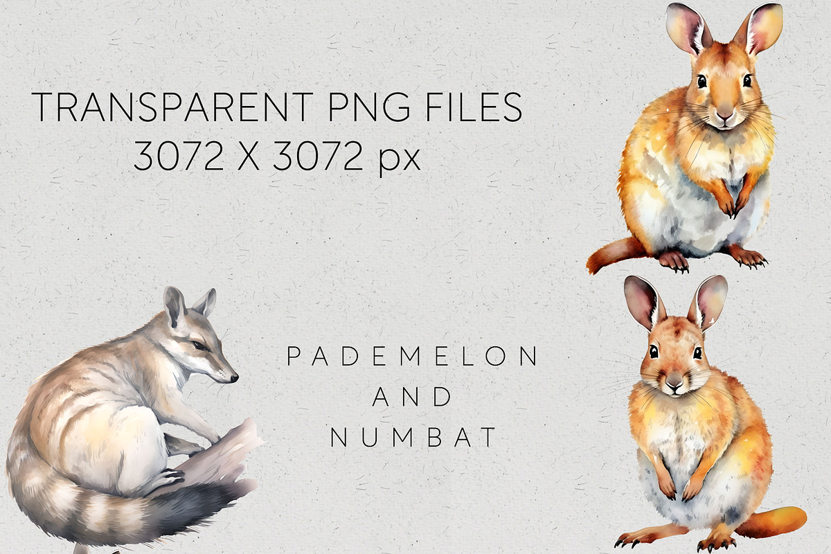 Bulk Australian Animals Clipart PNG, an Animal Illustration by Pawcasso's Portraits (Photo 7 of 10)
