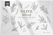 OLIVE BOTANICALS Watercolor & Line, a Work Illustration by Momo Studio (Thumbnail 10 of 15)