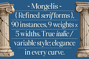 Morgelis, a Serif Font by Gatype (Thumbnail 14 of 15)