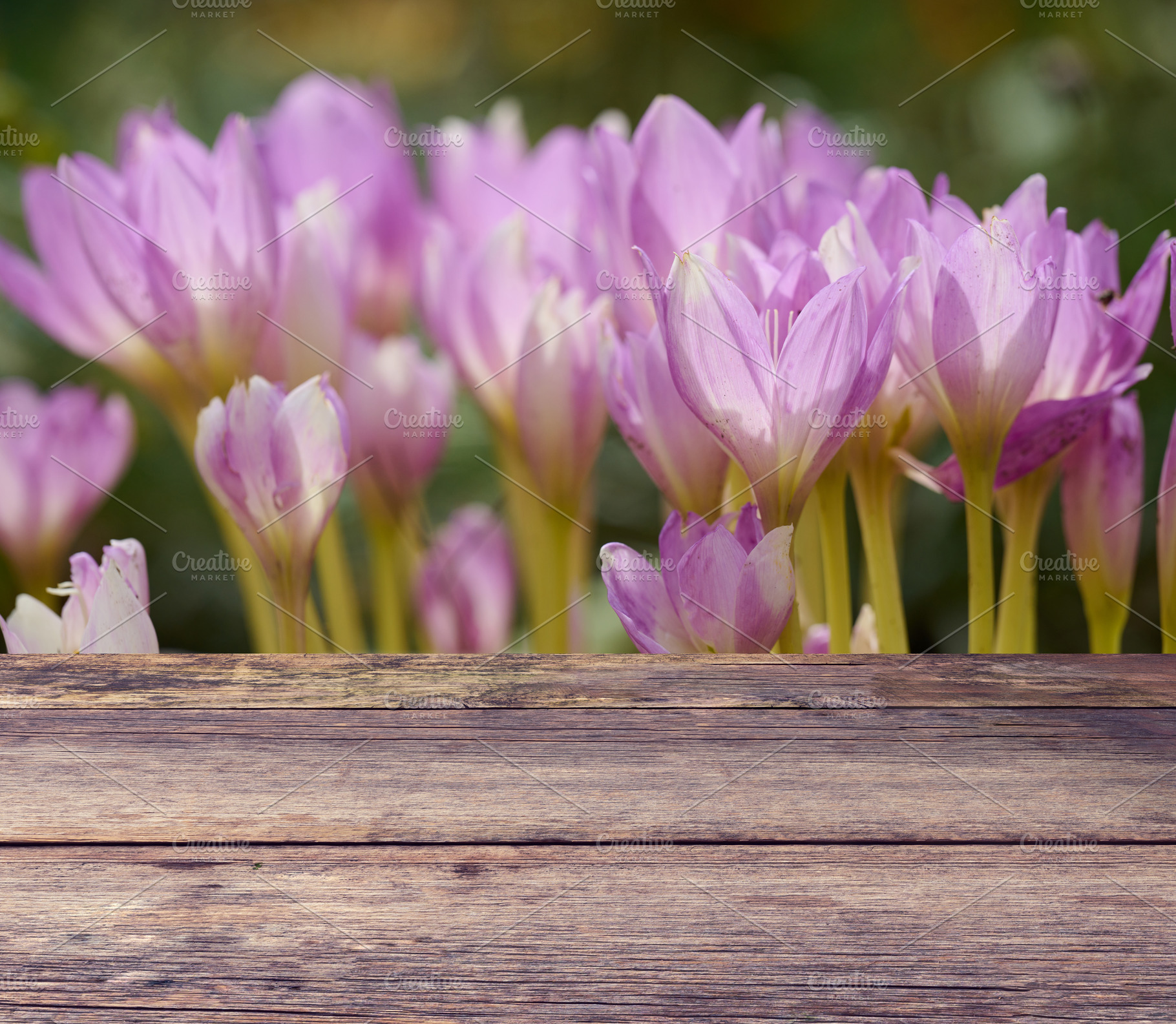 Purple flowers growing behind a wooden table made of rough-hewn, a Background Photo by ndanko