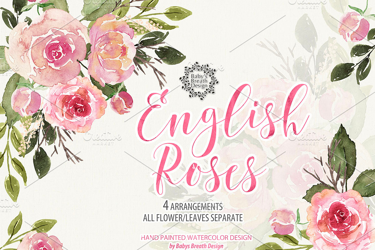 -50% English Roses design, an Illustration by Babysbreath/Dandelionery (Photo 1 of 3)