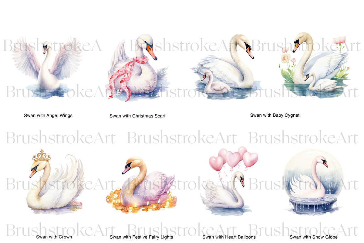 Watercolor Swan Clipart, White Swans, an Animal Illustration by BrushstrokeArtGB (Photo 5 of 9)