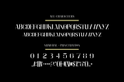 Vanolina Font, a Serif Font by brahamb_design (Thumbnail 4 of 6)
