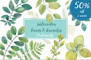 50% OFF Watercolor leaves & branches, an Object Graphic by Irina Diasli (Thumbnail 1 of 2)
