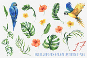 Parrots & tropical leaves watercolor, an Animal Illustration by NATASHA CHU (Thumbnail 2 of 21)
