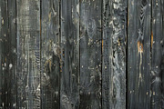 varied wood grain bundle, a Texture Graphic by VetalStock (Thumbnail 10 of 12)