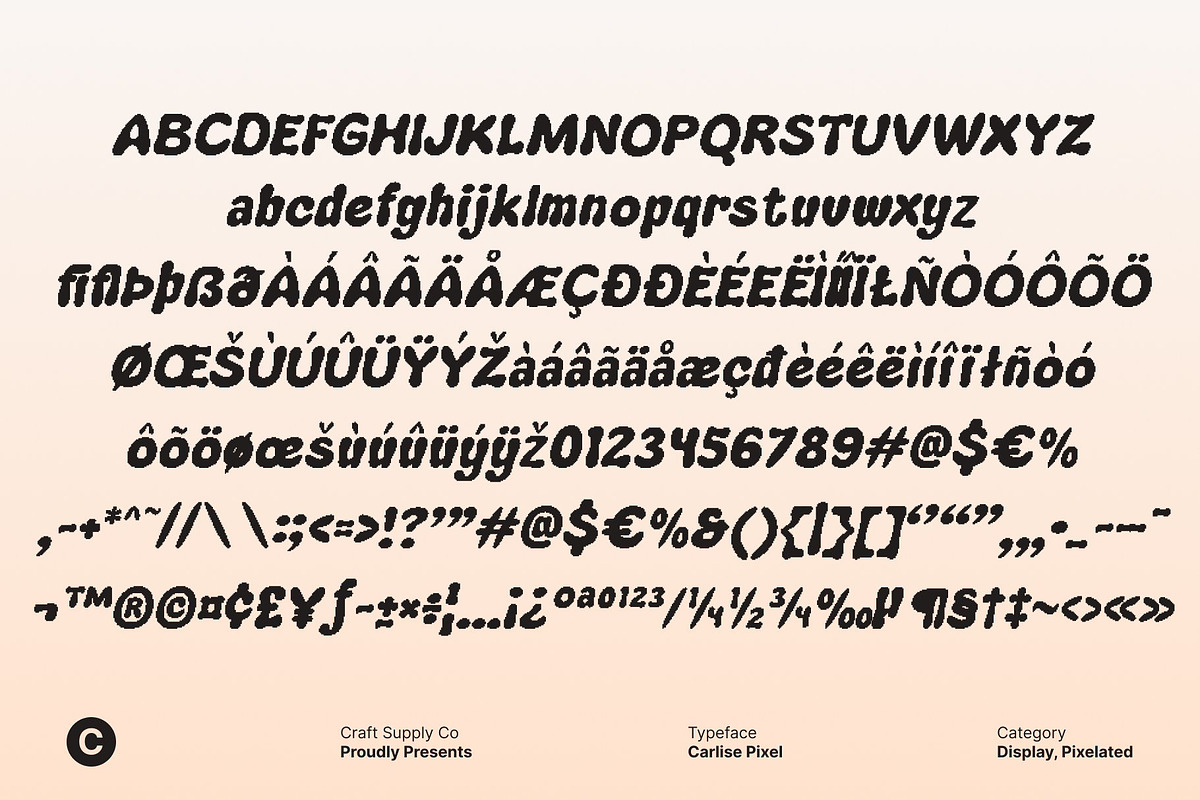 Carlise Pixel, a Sans Serif Font by Craft Supply Co. (Photo 8 of 8)