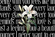 The Marlynes Classy Elegant Serif, a Serif Font by Letterhend Studio (Thumbnail 9 of 9)