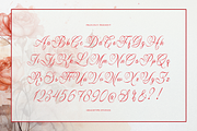 Lim Siendra | Classic Calligraphy, a Script Font by gracetype_studio (Thumbnail 10 of 12)