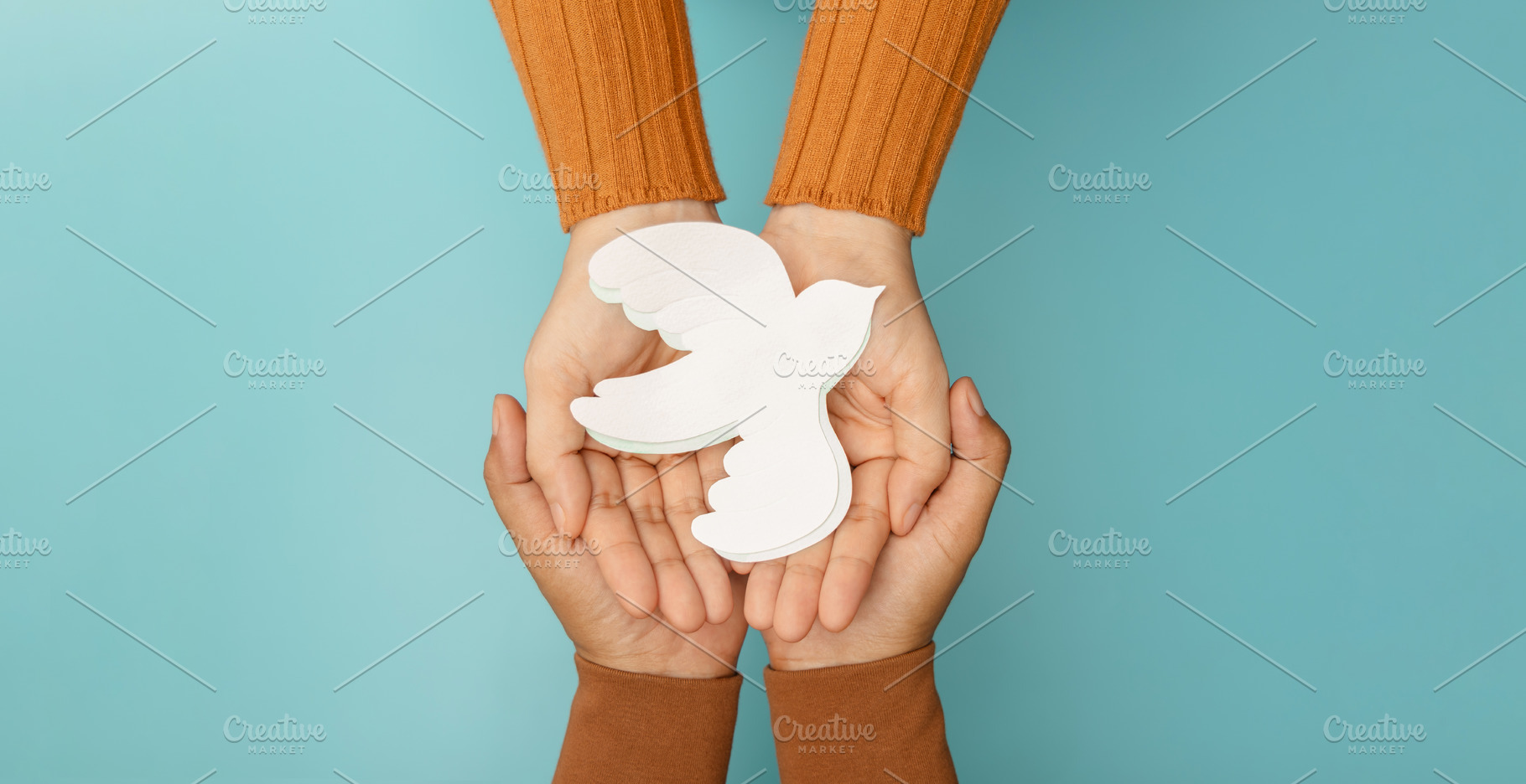 Hands gently holding a white dove symbolizing peace, harmony, hu, a Photo by salmon.black