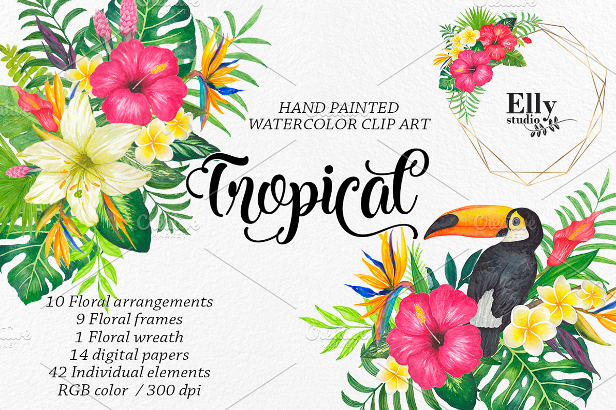 Watercolor Tropical Clip Art, an Illustration by Elly Studio (Photo 1 of 9)